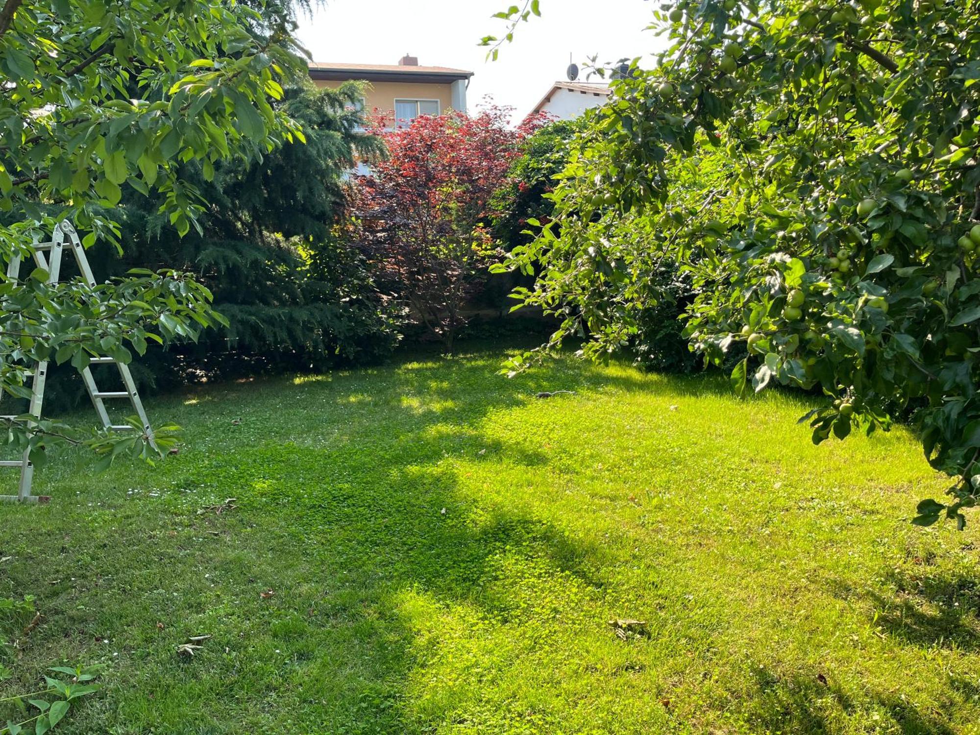 Elbidyll Apartment Magdeburg Luaran gambar